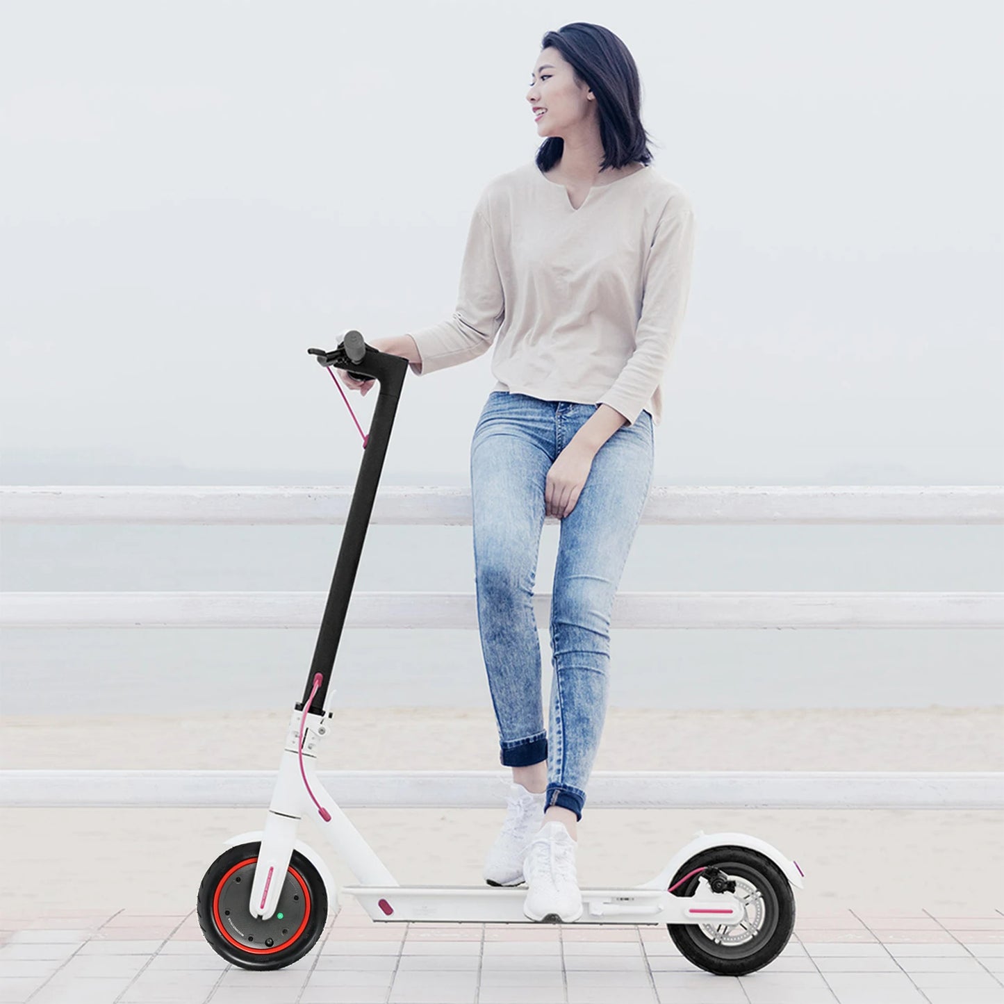 Moteur de 36V 350W pour Trottinette Xiaomi M365 et Pro