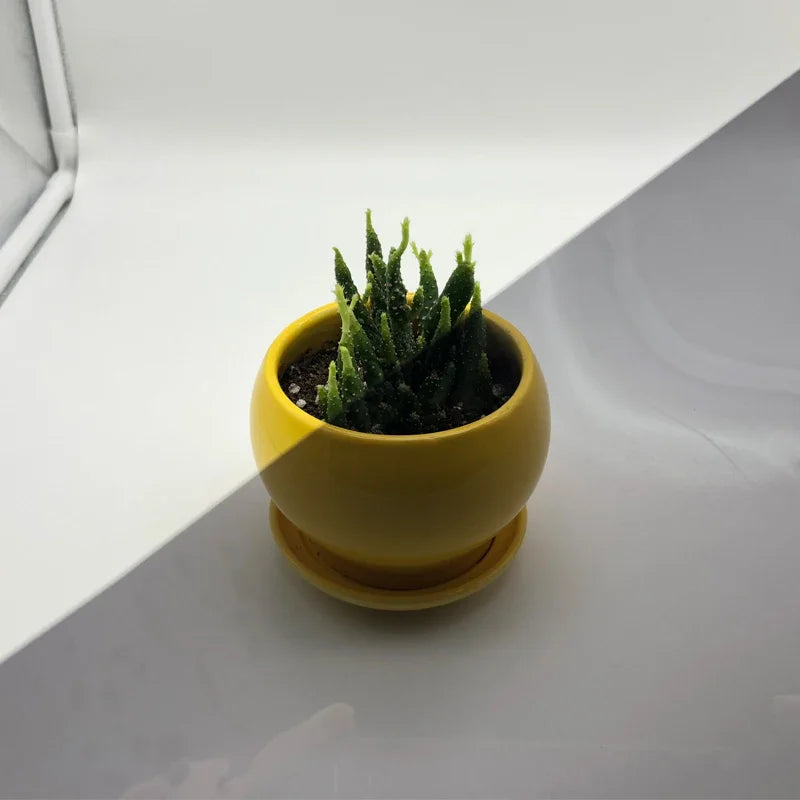 Dany’L - Film de Vitres teintés Noir avec Protection UV