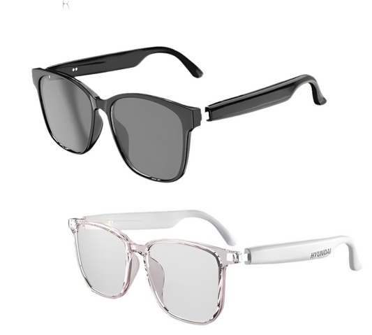 Dany'L - Lunettes Intelligentes avec Traduction Vocale Instantanée 🕶️💬